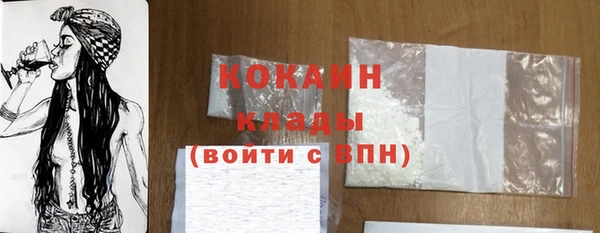 дживик Чита