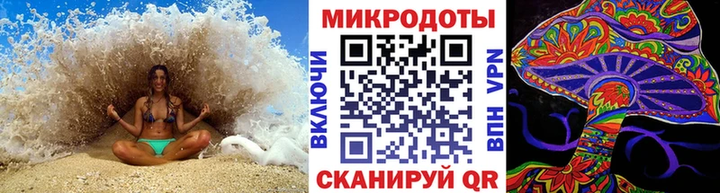 Псилоцибиновые грибы Psilocybe  KRAKEN ONION  Новомичуринск  купить закладку 