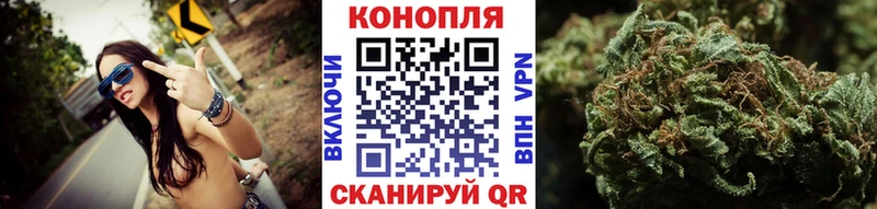 Бошки марихуана THC 21% цены Новомичуринск